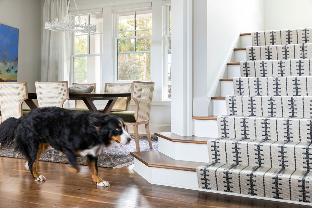 Custom Home Design Has Gone to the Dogs