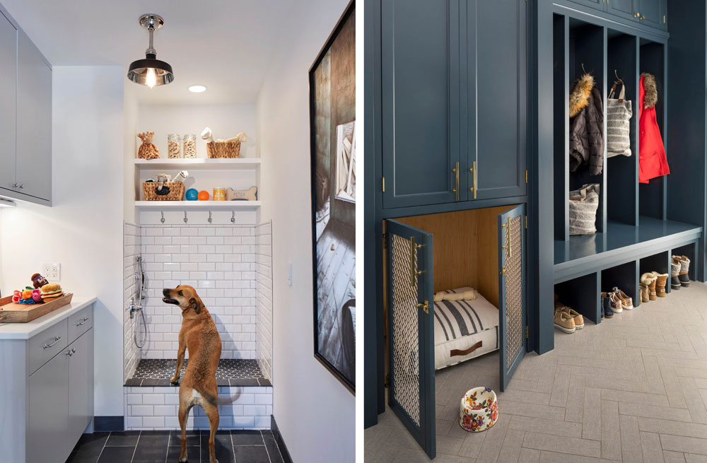 3 Pet Friendly Design Solutions O'hara Interiors